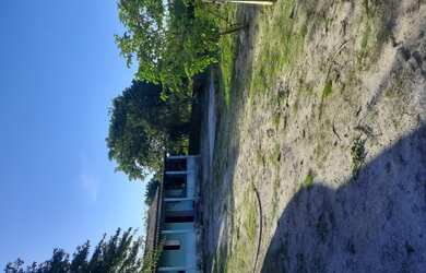 Imagem 4: Vende-se Sítio em Serrinha-ba