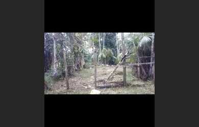 Imagem 3: Terreno em Marituba