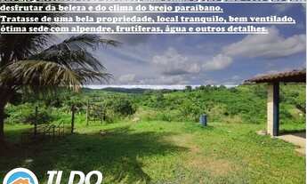 Imagem 7: Bananeiras - Sítios de 1 a 11 hectares