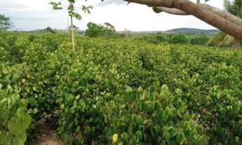 Imagem 4: Fazenda a venda Fazenda / sítio com venda por R$500.000