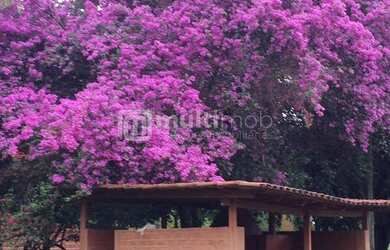 Imagem 2: Chácara com venda por R$2.200.000