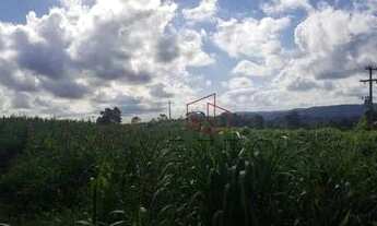 Imagem 6: Sítio no bairro Serra Grande em Gramado!