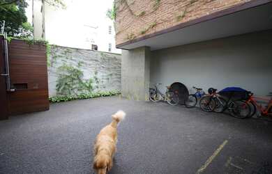 Imagem 3: Casa com 3 dormitórios para alugar, 196 m² - Jardim Paulistano - São Paulo/SP