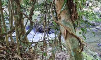 Imagem: Venda de terreno sul de mg