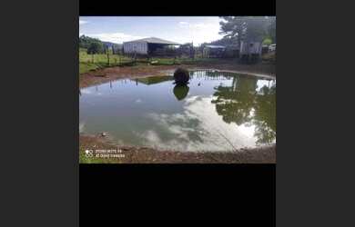 Imagem 2: Sítio 5 alqueires em pitanga