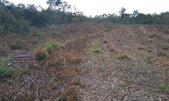 Imagem 7: Fazenda a venda em Minas Gerais