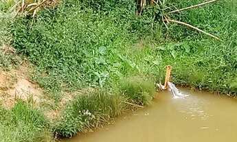 Imagem 3: Sitio Chácara com venda por R$230.000