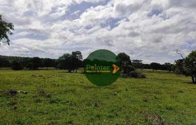 Imagem 2: Fazenda com 2 dormitórios à venda, 2100000 m² por R$ 18.000.000 - Zona Rural - Duerê/TO