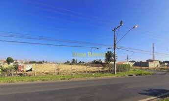 Imagem 5: Área para alugar, 7970 m² - Jardim Floridiana - Rio Claro/SP