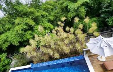 Imagem 2: Casa de condomínio para aluguel tem 390 metros quadrados com 4 quartos