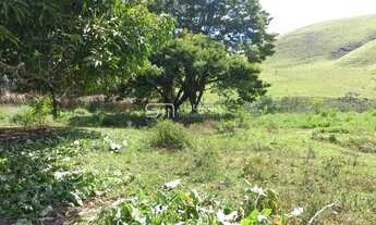 Imagem 7: SÍTIO PLANO, COM CASA, PROXIMO À VIA DUTRA LORENA SP