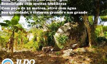 Imagem 6: Bananeiras - Sítios de 1 a 11 hectares