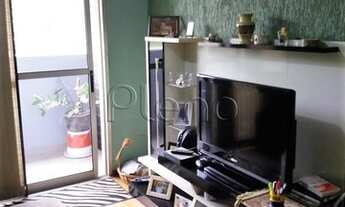 Imagem 2: Apartamento - Bonfim - Campinas