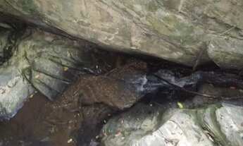 Imagem 7: Terreno de 7 hectares, com nascente e córrego nos fundos, próximo a Serra do Cipó