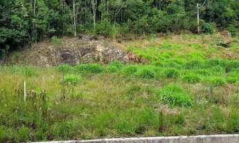 Imagem 3: Terreno Bairro Desvio Rizzo