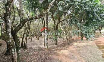 Imagem 4: Lote em condomínio em Rua Janina - Vila de São Fernando - Cotia/SP