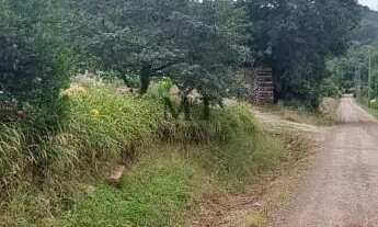 Imagem 6: Área de terra bairro Feliz Lembrança, Nova Petrópolis.RS REF: 301