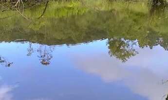 Imagem: Chácara 2 hectares valor 109,000,00 avista