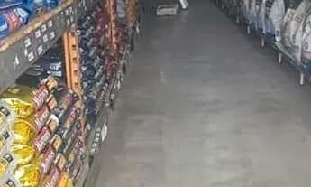 Imagem 2: Casa de ração Itapecerica da Serra. Ref; 1025