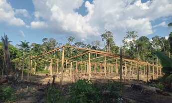 Imagem 4: Terreno com 2 barracão dentro