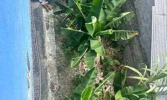 Imagem 4: Arsenal Imóveis vende-Casa linear com 3 quartos e quintal