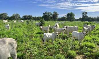 Imagem: FAZENDA EM BURITIZEIRO MG NA BEIRA DO RIO