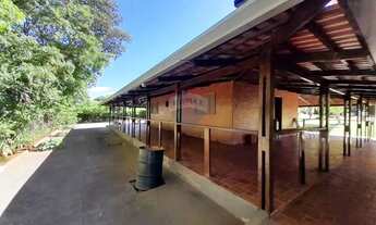 Imagem 7: A venda Chácara em Nova Veneza 5.000m² Ribeirão da Cachoeira 2 ETAPA