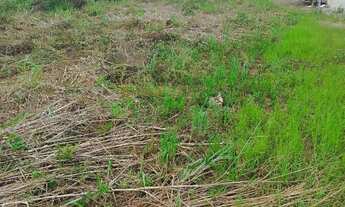 Imagem 4: Vende-se terreno no bairro João de Barro