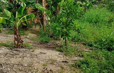 Imagem 2: Vendo Terreno Chácara com venda por R$48.000