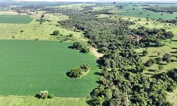 Imagem 4: Chácara de 5 alqueires em Hidrolândia-GO