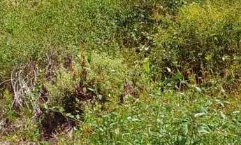 Imagem 3: VENDE-SE OU TROCA POR CARRO OU MOTO( VALOR 15.000