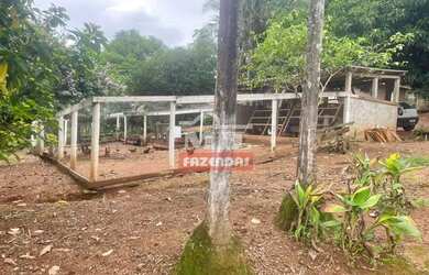 Imagem 3: Chacara 1,4 alqueires (6,8 hectares) São Miguel do Passa Quatro - Go