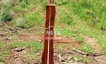 Imagem 5: Fazenda em Montividiu do Norte 57 Alqueires (275,8 Hectares) - GO