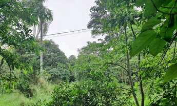 Imagem 3: Chácara em Rua das Granjas - Vila Santo Antônio - Cotia/SP