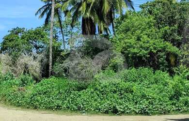 Imagem 12: Terreno Amplo de Esquina à Venda no Mosqueiro com Financiamento Disponível