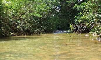 Imagem 5: Sítio em Buritis Minas Gerais