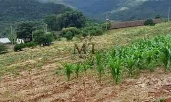 Imagem 7: Área de terra bairro Feliz Lembrança, Nova Petrópolis.RS REF: 301