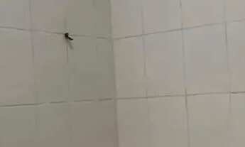 Imagem 4: Kit-Net para Aluguel dispõe de 65m², 02 dormitórios no bairro da Pedreira