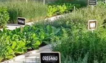 Imagem 7: Vendo agio de lote/terreno com 461 m² no condominio Portal do Sol Noronha