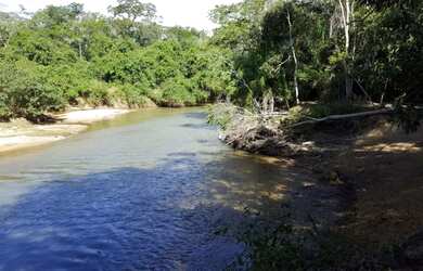Imagem 4: Fazenda 275 Alqueires - Cultura