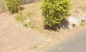 Imagem: Lote com 465m2 ALTO DA GLORIA ll !!! oportunidade!!!!