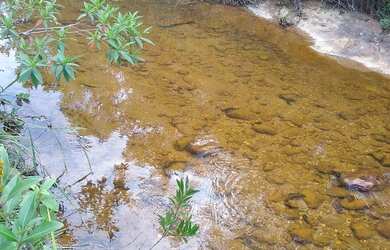 Imagem 2: Sítio a venda em Senador Mourão MG
