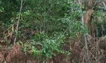 Imagem 3: Terreno na estrada da Ponte Alta