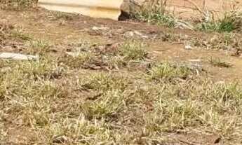 Imagem 2: 2 Lotes a venda, 360m² cada um - Residencial Jardins Do Cerrado 2 - Goiânia/GO