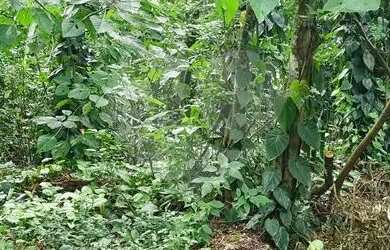 Imagem 2: Terreno à venda em Caraguatá - SP