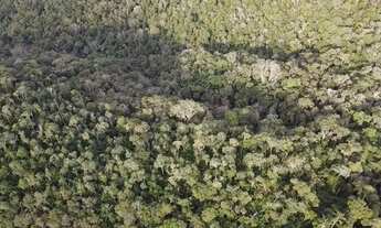 Imagem: Chácara 63.000 m em Campo Magro- Paraná