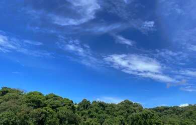 Imagem: Excelente Opção de Terreno em Ibiúna