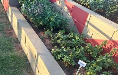 Imagem 6: Alugo - Apartamento Novo - Setvalley