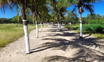 Imagem 6: Fazenda 80 hectares, em Pentecoste/Ceará. Aceito troca por imóvel ou carro
