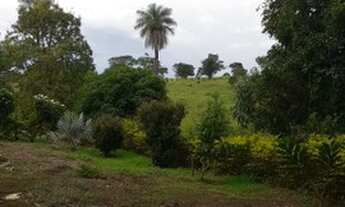 Imagem 4: Excelente chácara em Aragoiânia - 7.993 m²